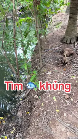 #cakhung #tiktokvn🇻🇳 #viralvideo #khamphathegioi 