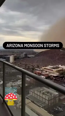 Arizona Monsoon Weather from up high. Great Angle ! #mosoonseason #storms #arizonacheck #rainstorm #fyp 