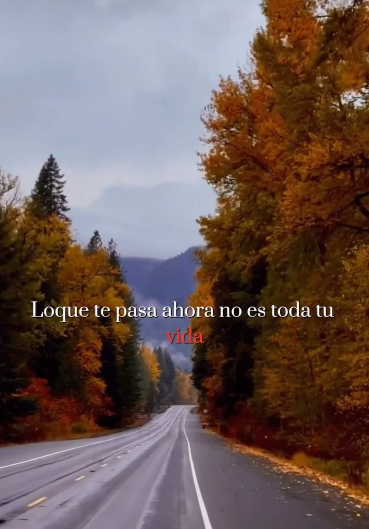 Todo pasa, cada etapa en la tierra solo es temporal y pasajera. Vive lijero, disfruta el camino de la vida y agradece a Dios por cada temporada .. 💕  #reflexion #todopasa #feendios #viraltiktok #agradeceradios 