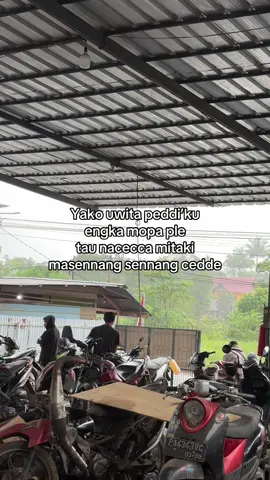 #storyanakbugis🔰 #katakatabugis #soundbugis #fyp #lewatberandafyp 