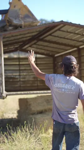 Taking care of the animals is what we do best #farming #pigs #starwalkerorganicfarms