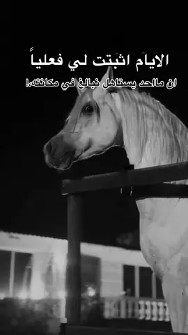 #viral #خيل_وخياله🐎 #fyp #اقتباسات #اكسبلورexplore 