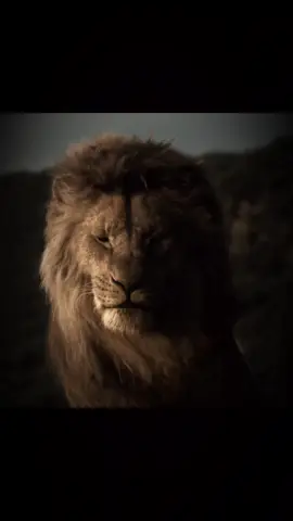 Tu es invincible 👑 #roilion #motivation #mufasa #simba #hanszimmer
