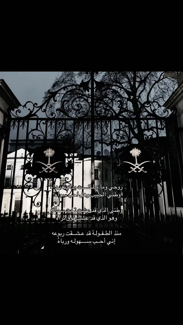 روحي وما مـلـكـــــت يداي فـــداهُ وطني الحبيب وهل احب سواهُ وطنى الذي قد عشت تحت سمائهِ وهو الذي قد عشت فوق ثراهُ منذ الطـفـولـة قد عـشــقت ربوعه إني أحــب ســــهولـه ورباهُ#fyp #لايك__explore___ #fyppppppppppppppppppppppp #الشعب_الصيني_ماله_حل #مالي_خلق_احط_هاشتاقات 
