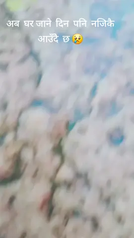 #😙😍🤩♥️👩‍❤️‍👨 #fypシ #🥰🥰🌹🌹♥️♥️ 