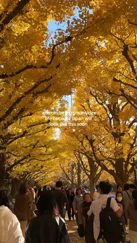 i would usually hate how summer is ending but the heat here is too much so fall will be so good #japan 
