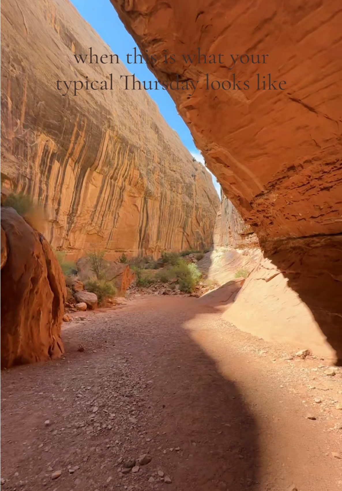 Living right outside of a national park has its perks #capitolreefnationalpark #utah #nationalpark #travel #creatorsearchinsights 