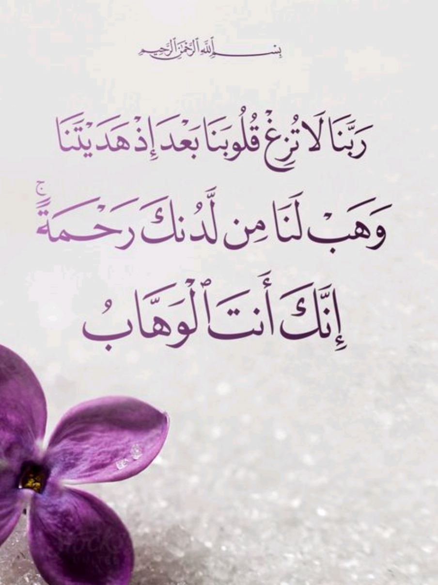 ربنا لا تزغ قلوبنا بعد از ہدایتنا۔ #القران_الكريم #تلاوة_خاشعة_صوت_يدخل_قلب #جمعة_مباركة  #القرآن_الكريم_راحه_نفسية #اذكروا_الله  sudaimameer  sudaim ameer  sudaim.ameer soudaim.ameer jumma blessings  jumma mubarak  Hahj2026 usamuslim