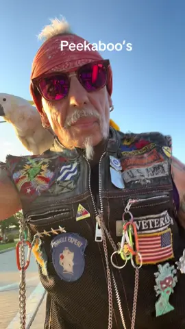 #FYP #BirdmanBobby1 #CockatoosOfTikTok #RescueAnimals #conuresoftiktok #