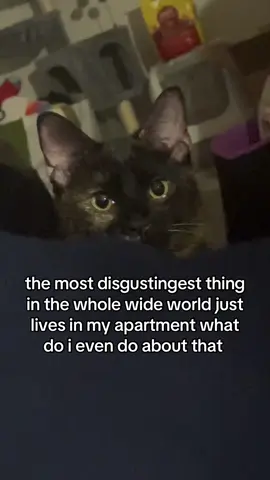 gross! #cat 