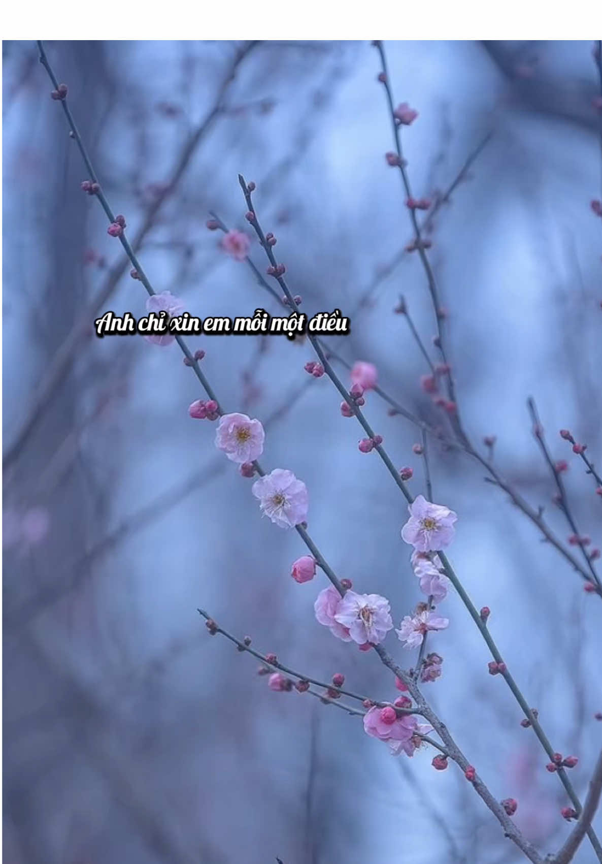 𝐓𝐑𝐈 𝐊𝐘̉, 𝐇𝐈𝐄̂̉𝐔 & 𝐓𝐇𝐔̛𝐎̛𝐍𝐆!  Giữa vô thường, có một người ở lại lặng thầm - ấy là tri kỷ. Trong cõi nhân sinh vô thường, tìm được một người tri kỷ chẳng khác nào gặp được một mối nhân duyên lớn - không phải ngẫu nhiên, mà là sự hội tụ của phúc duyên từ nhiều kiếp trước. Tri kỷ không đơn thuần là người ở bên cạnh ta lúc vui hay buồn, mà là người lắng nghe được tiếng vọng sâu thẳm từ bên trong tâm thức ta, là người hiểu được cả những điều chưa nói ra, đồng cảm với cả những nỗi niềm không tên. Phật pháp dạy rằng: 
