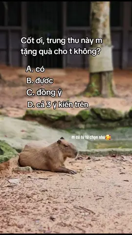 Cốt iu ơi🫰 #VinWonders #GreenCreator #dulich #vinpearlsafariphuquoc  #banbe 