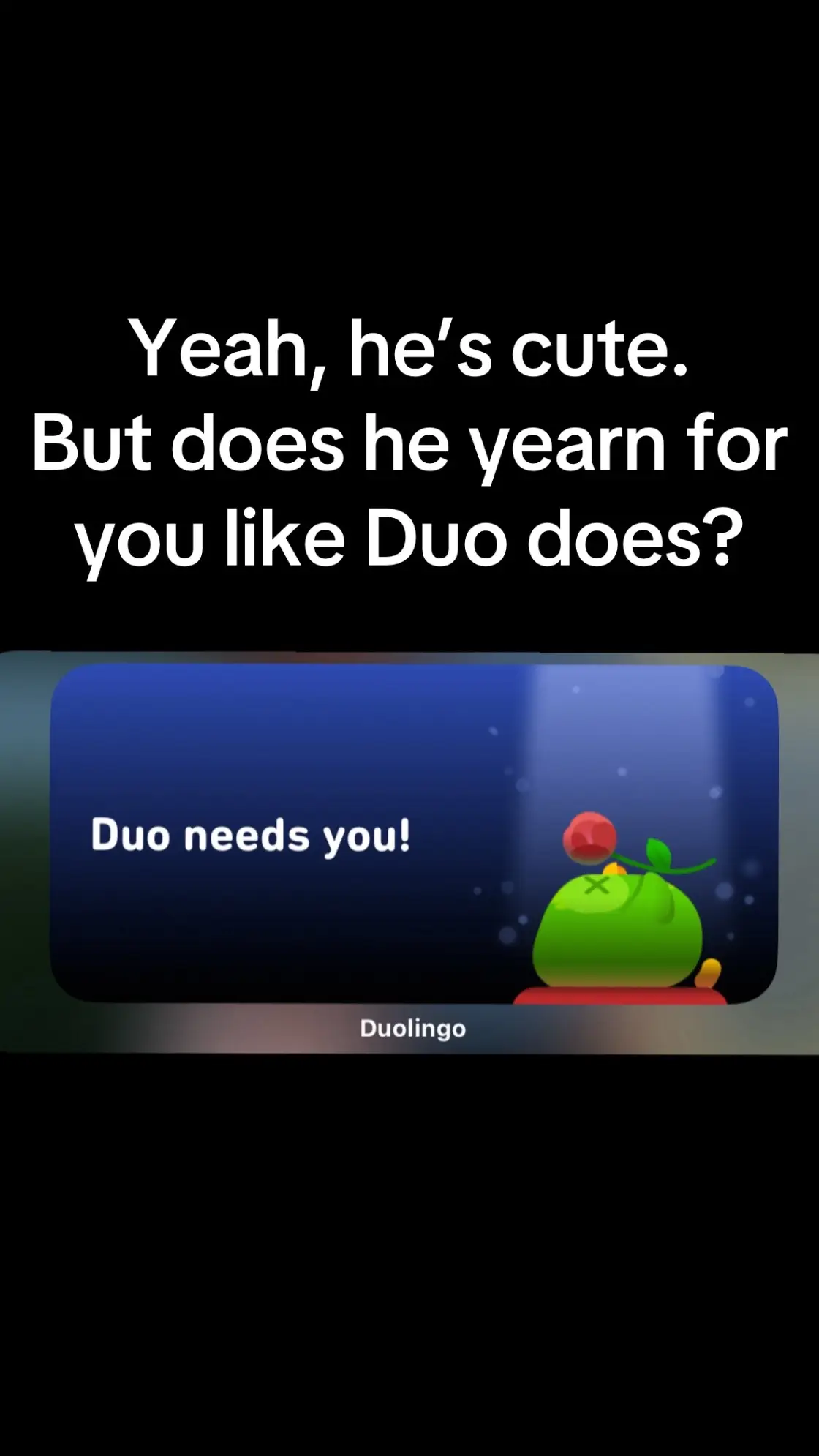 @Duolingo #duo #duolingo #dating