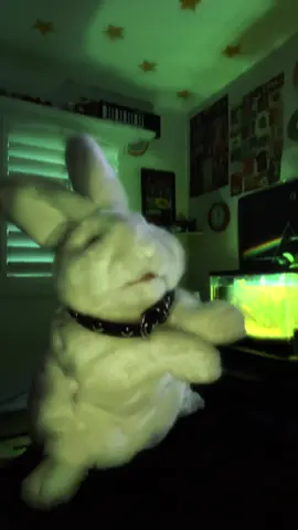 rein raus — rammstien ★ #bunny #numetal #thrashmetal #rammstein #rammsteinfan #puppet #metal #skipperrabbit 