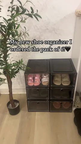 The best shoe organizer fits so much!!! Matches my decor as well!! 🖤 #shoeorganizer #organization #homefinds #decor #fypシ 