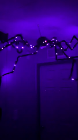 If you love decorating for Halloween as much as I do, you need the 78 in. bendable light up spider. It comes with a huge spiderweb and a remote control. It is battery operated. Halloween wouldn’t be complete without a massive lighted spider. #spider #halloweenlights  #spookyseason #halloween #amandaspretties 