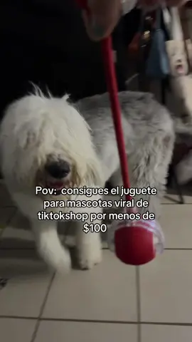 Bella la está amando #tiktokshop #ventaquincenal #tiktokshopregresoaclases #parati 
