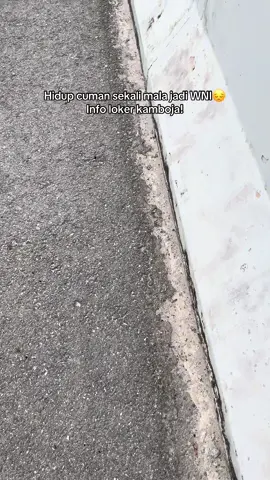Hidup konoha!!