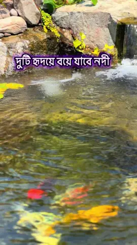 মিলনে বিরহে পাশাপাশি রব, হাজার বছর ধরে।😔😔