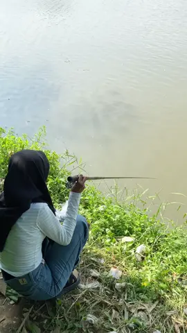 Absen lagi 🗿#mancingjogja #mancingmania #microfishing #harcingnas #mancing #waderhunter 