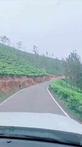 #morningvibes  #keralavibe🌍  #vlogs  #nature  #vibes 