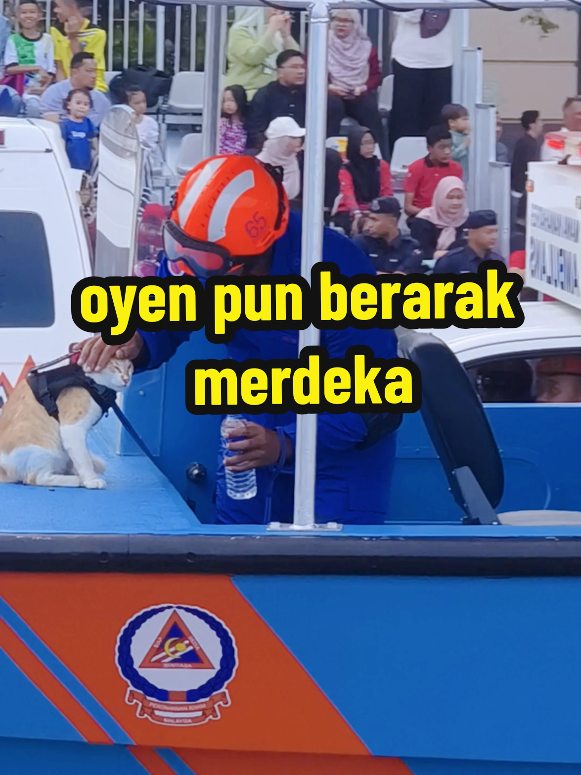 terima kasih abam jabatan pertahanan sebab menyantuni n menyayangi oyennnn 🤍😻 #catsoftiktok #malaysia #merdeka #2025 🇲🇾 #fyp 