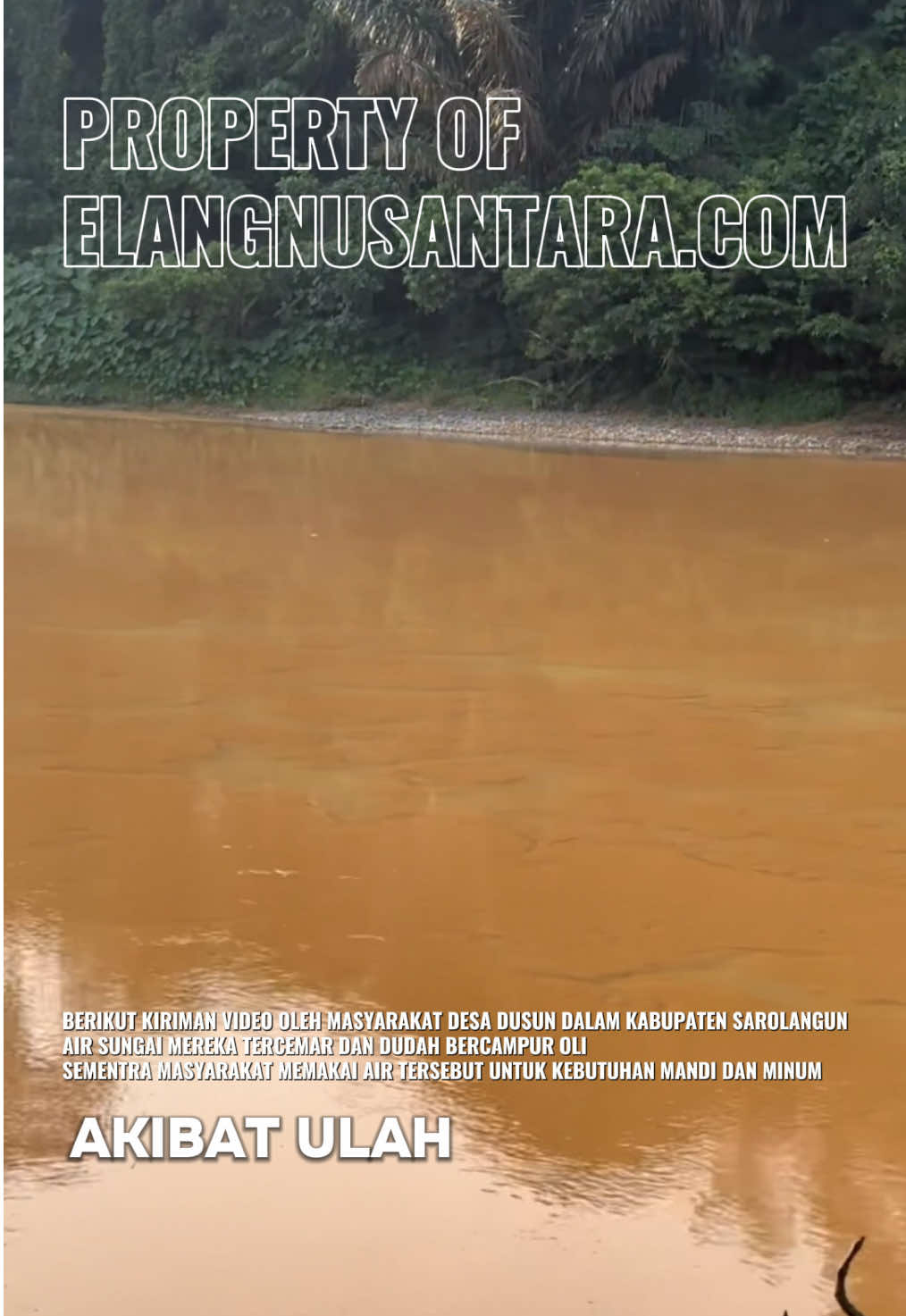 BERIKUT KIRIMAN VIDEO OLEH MASYARAKAT DESA DUSUN DALAM KABUPATEN SAROLANGUN AIR SUNGAI MEREKA TERCEMAR DAN DUDAH BERCAMPUR OLI SEMENTRA MASYARAKAT MEMAKAI AIR TERSEBUT UNTUK KEBUTUHAN MANDI DAN MINUM