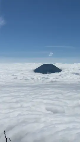 cantik ga #pendakigunung #sumbingsindoro #gunungsumbing3371mdpl 