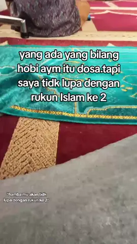 #bibitsendiri #cumaayamkampung #kaliabo #bangkok #magon