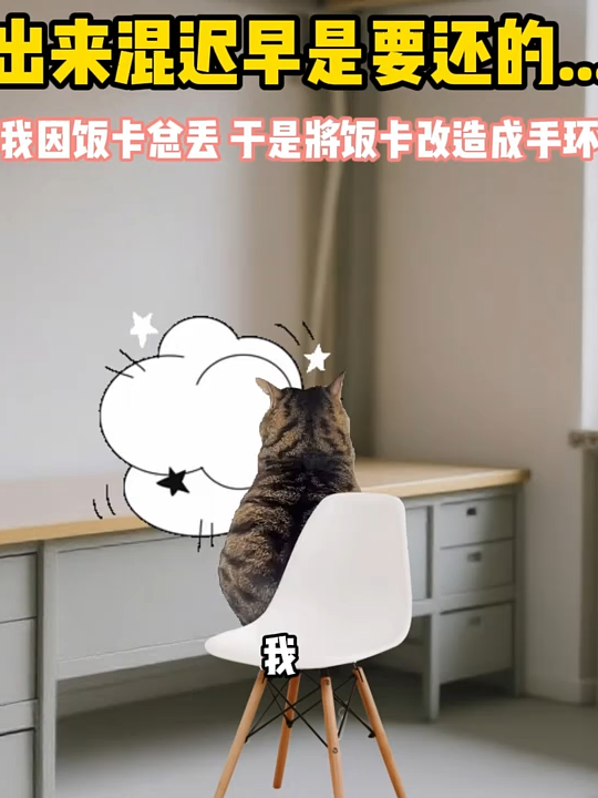 出来混迟早是要还滴  . . . . #猫meme #00后 #热门 #funny #catmeme #真实还原 #猫meme小剧场 #万万没想到 #内容过于真实 #搞笑 #fyp #抽象 #离谱 #搞笑小剧场