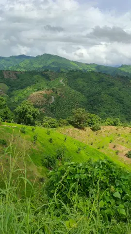 থানচি বান্দরবান........... 🌧️⛰️🥰🤟 #mobin4087 #mobin4087🤲🤲🤲🤲🤲 #বান্দরবান_পার্বত্য_জেলা।৷ .............. 🌧️⛰️🥰🤟