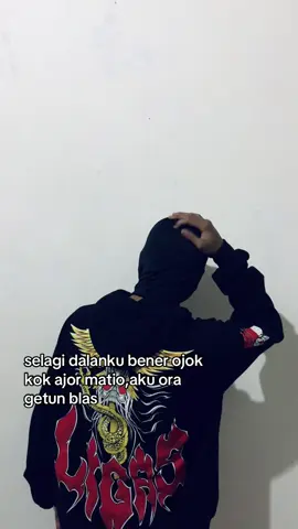#pagarnusaistimewa💚🔱 #viralvideo #pagarnusaindonesia💚🔱 #foryoupage #pagarnusa86💚🔱 #ligastulungagung #ligastrenggalek 