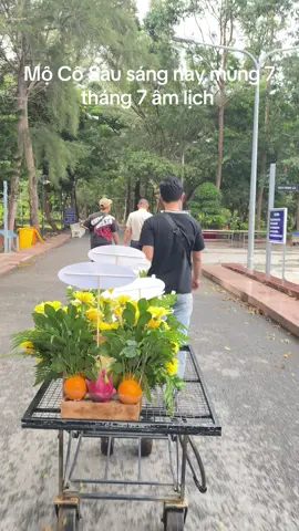 #côvothisau🙏🙏🙏 #nghĩatranghàngdương #condao #xuhuong 