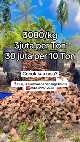 📍Duri, Jl.Gajahmada Sebanga km 18 ☎️0812-6997-2756 #batok #batokkelapa🥥  #briketbatokkelapa #charcoal #coconutcharcoalbriquettes