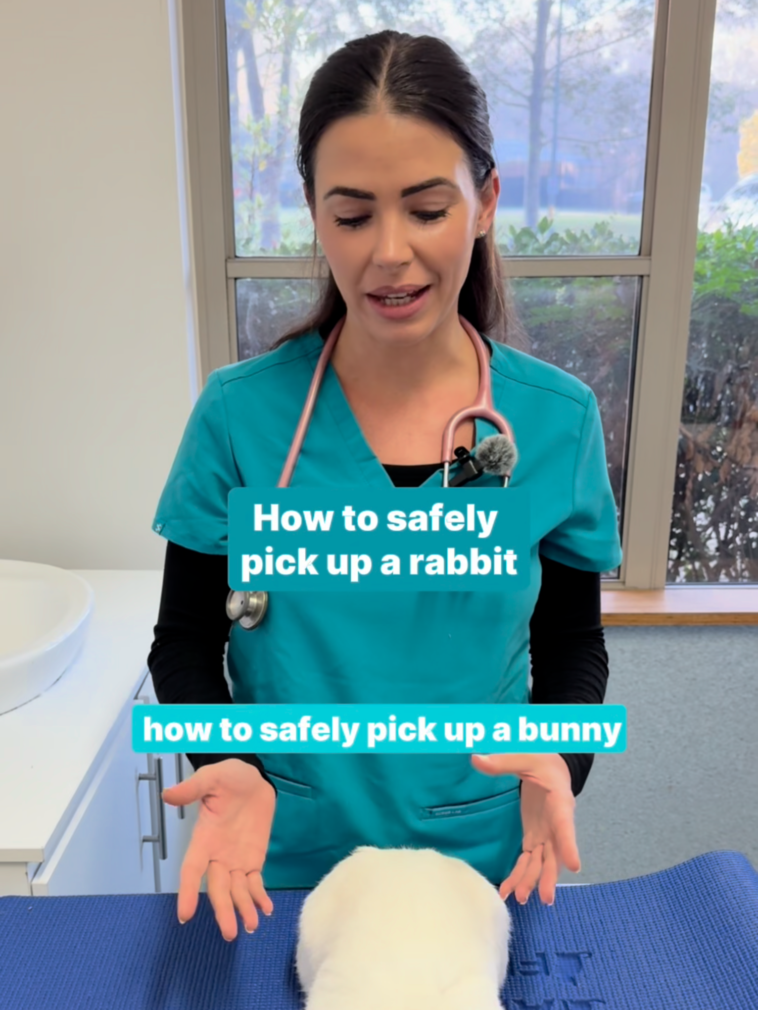 🐇✨ How to safely pick up a rabbit✨🐇 Rabbits are delicate pets, and the wrong handling can cause stress or even injury. Dr Liv demonstrates how to safely pick up a rabbit to keep them comfortable and safe #rabbitcare #petrabbits #bunnycare #rabbitlovers #vetadvice