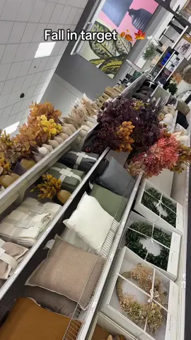 My fav season 🍁🍁🍁#foryoupage #fall #target #fallaesthetic #🍂 