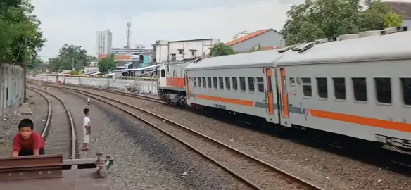 anjir