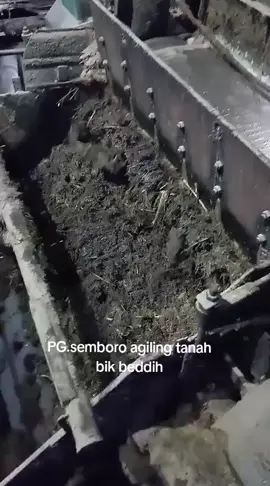 PG .Semboro #fyp #gulapasirasli 