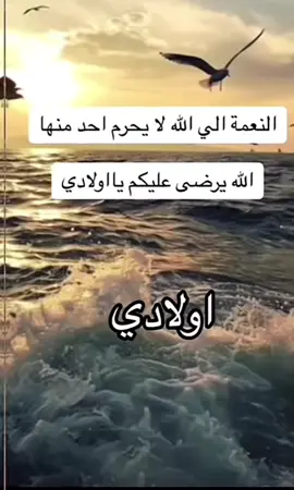#ياالله💚ياالله💚ياالله💚ياالله #اكسبلور #foryoupage #foryou #اللهم_امين_يارب_العالمين 