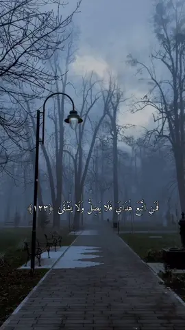 ﴿فَمَنِ اتَّبَعَ هُدَايَ فَلَا يَضِلُّ وَلَا يَشْقَىٰ﴾ #عبدالله_الموسى #اللهم_صل_وسلم_على_نبينا_محمد #صدقة_جارية #سورة_طه #تلاوة_خاشعة 