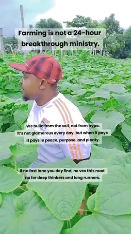 Farming is not a lottery ticket. It’s a lifestyle, a mindset, and a long-term commitment. If you’re looking for overnight riches, this land no be your shortcut. But if you’re ready to sweat, learn, and grow both crops and character the soil will reward you richly. We don’t plant and cash out in 24hrs. We nurture. We wait. We multiply. Let the flashy lies rest. This is the real grind that builds legacy wealth. Respect the process. Respect the soil. Stay rooted. #farmingreality  #GetRichSlowly #Farmtok #agribusiness #farminglife 