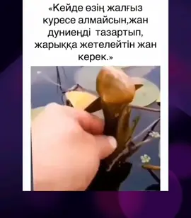 #рекомендации 