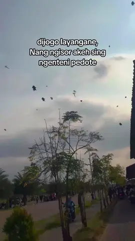 tapi iki dudu tentang layangan #festival #layangan #mojokerto #katakata #fyp 