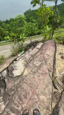 #fyp #nature 