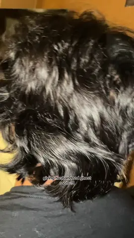 @Alberto lol i played with his hair sm at the end it got fluffy