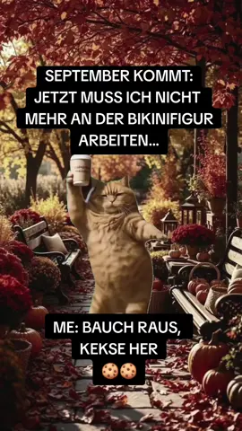 #Meme#September#Sprüche #fpyシ #funny