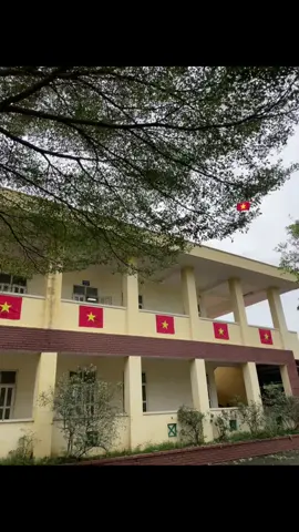 #tuhao #vietnam #xuhuong #viral #tiktok 