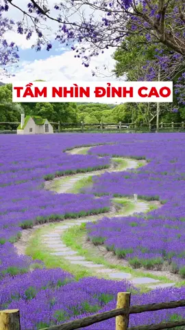 Tầm nhìn đỉnh cao của người đàn ông #daolylamnguoi #conhan #kienthuccuocsong #Tamtrang 