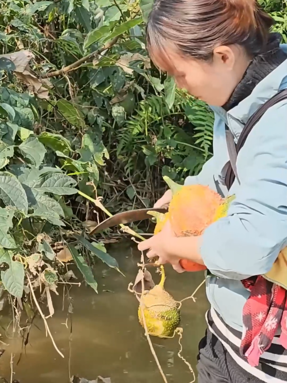 A single mother and her son struggled through the extreme poison of a strange creature