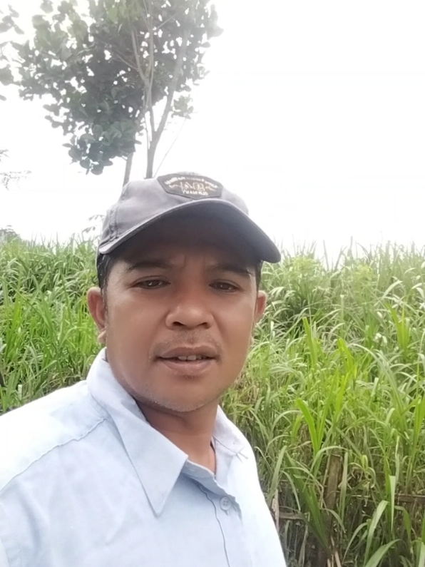 pokok Podo seger waras co #filsafat jowo#wong jowo